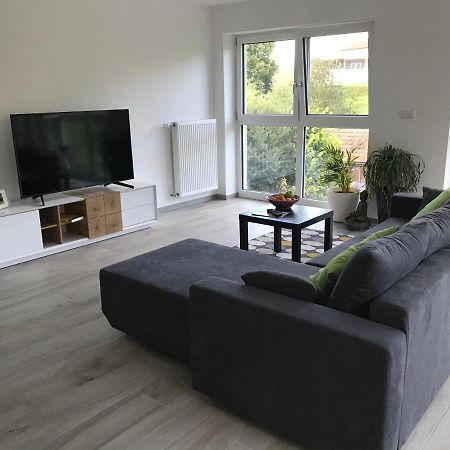 Ferienwohnung „Frosch“ Neukirchen-Balbini Bagian luar foto